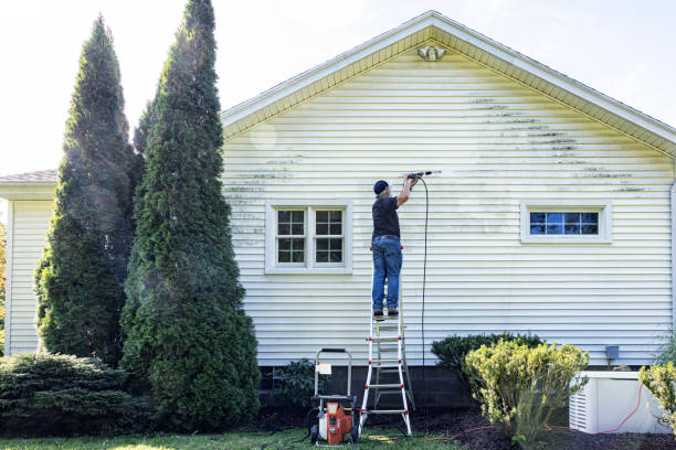 Trusted Timberlake, VA Pressure Washing Experts